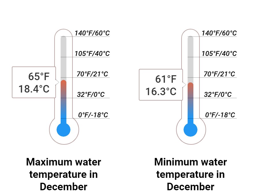 Average Sea temperature